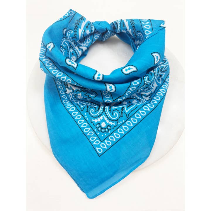 BLUE Pasley Pattern Bandanas for wholesale on Faire
