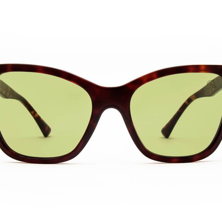 Lunettes de soleil Allendale Tortoise pour la vente par Biscayners Miami