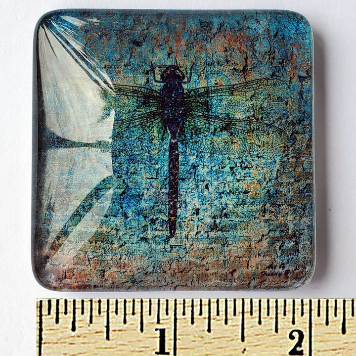 Art by Freddy B. - Wholesale Magnet - Set of 6 Acrylic Glass Magnets, The Dragonfly Collection7
