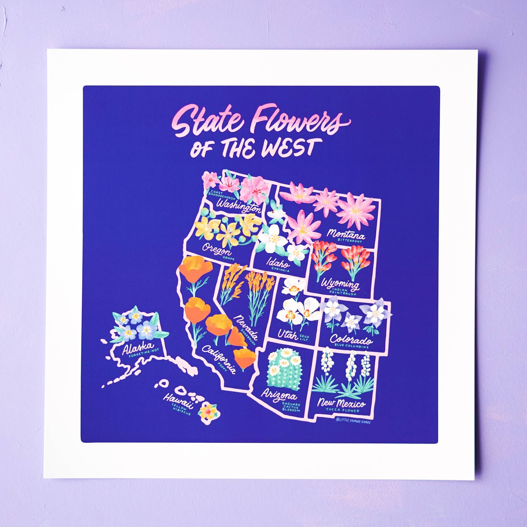Little Known Goods - Wholesale Map - State Flowers of the West map1