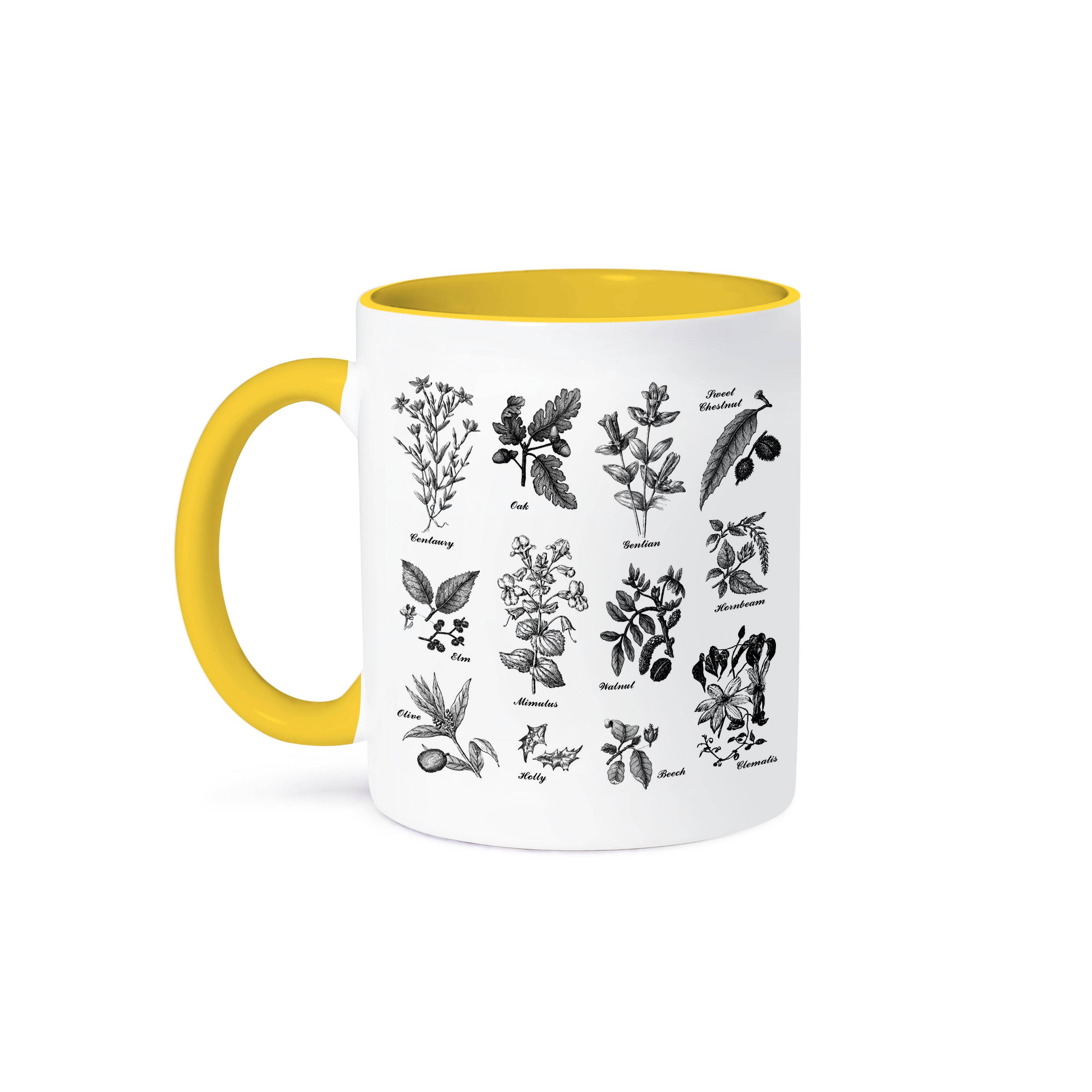 3dRose - Wholesale Coffee mug - 3dRose, Vintage Botanical Plants Trees Flowers Oak Elm Hornbeam Beech Centaury, Mug0