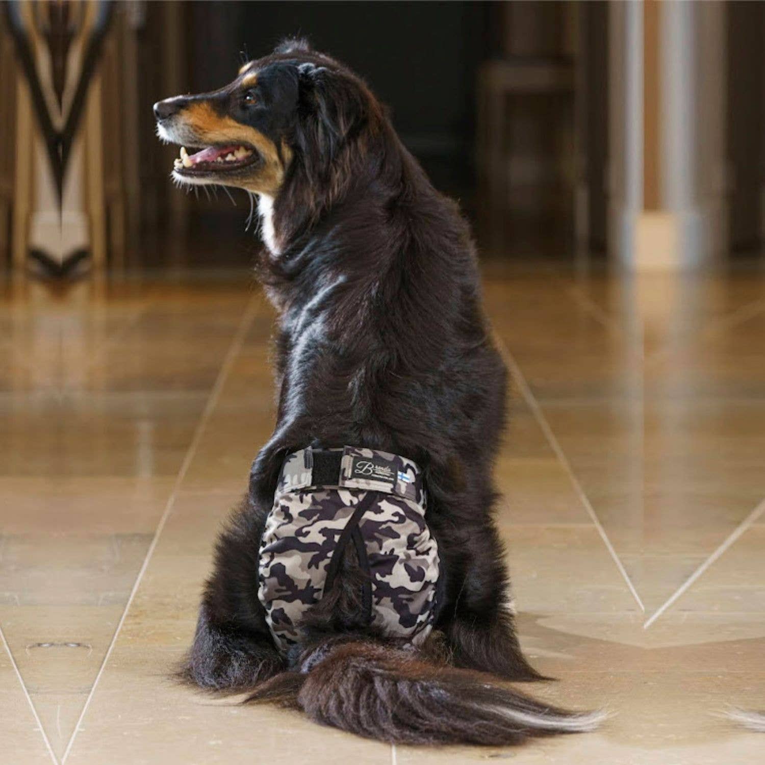 FINNERO - Wholesale Pet Diaper - Dog - FINNERO BRENDA Dog Hygiene pants, 3 colors, Washable Diaper5