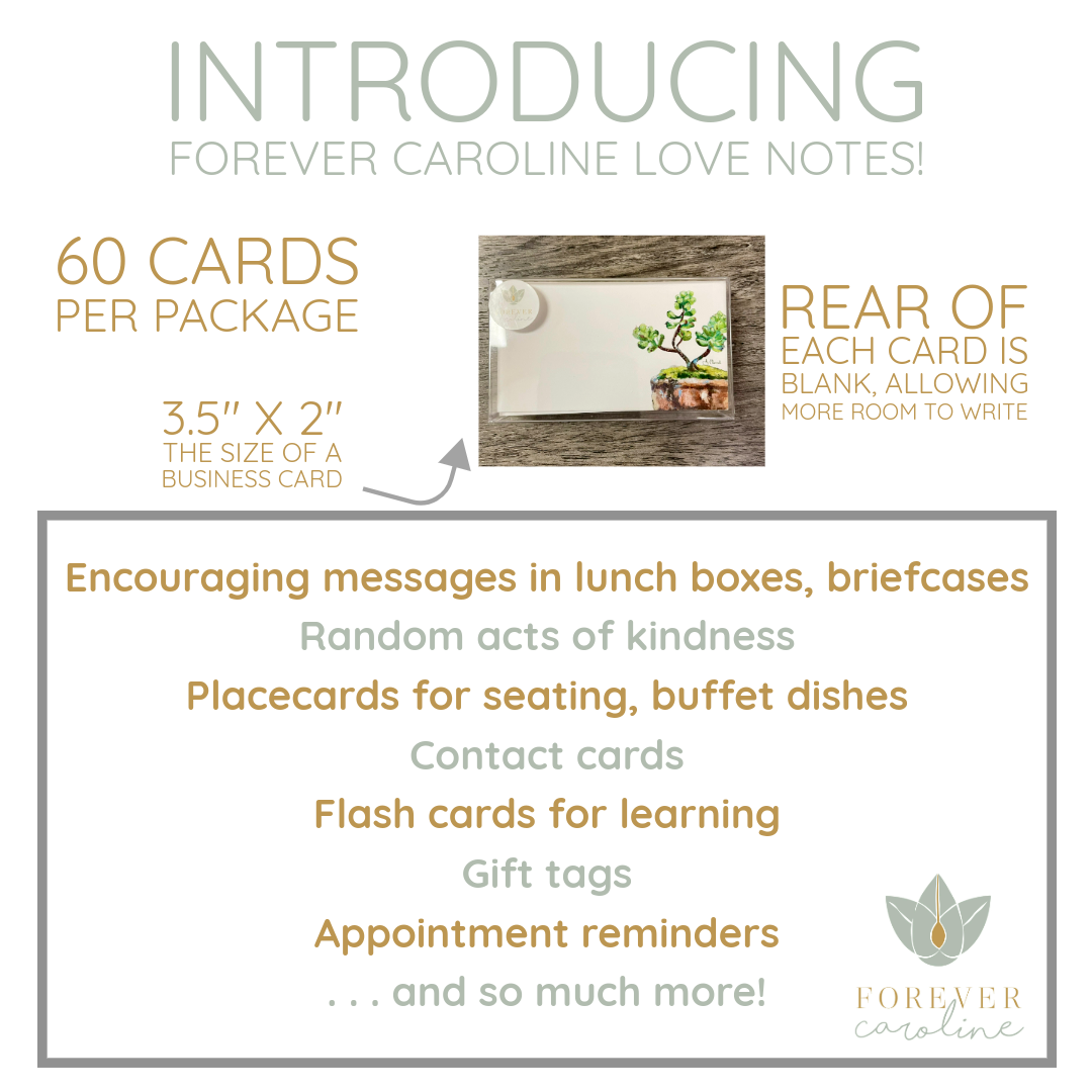 Forever Caroline LLC - Wholesale Stationery/notecard set - Succulent Plant "Love Notes" | Pack of 60 Tiny Cards3
