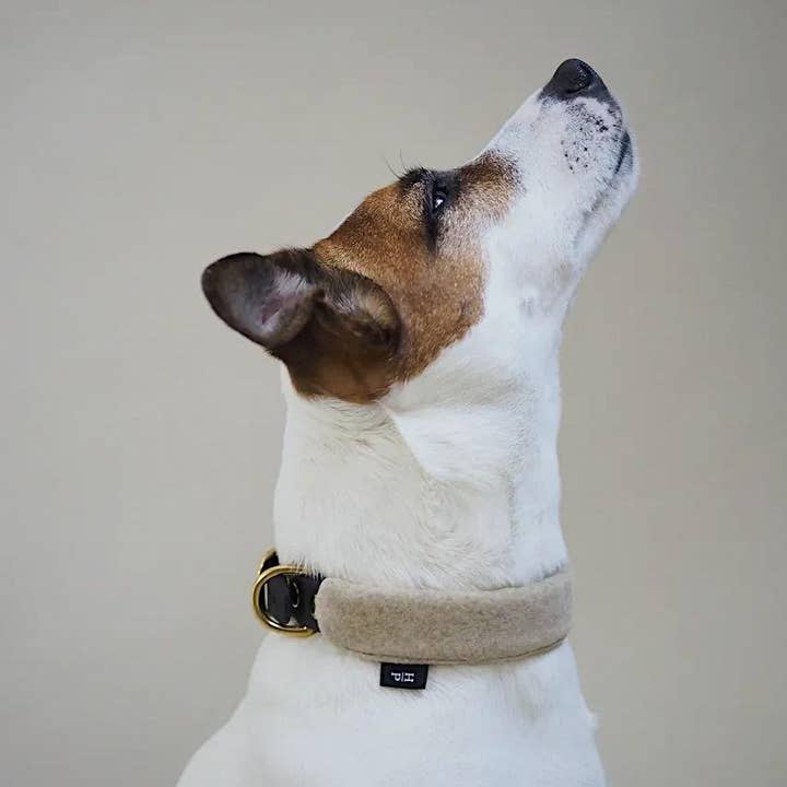 Pony-Mascarpony Biothane collar with case for wholesale by Hunting Pony