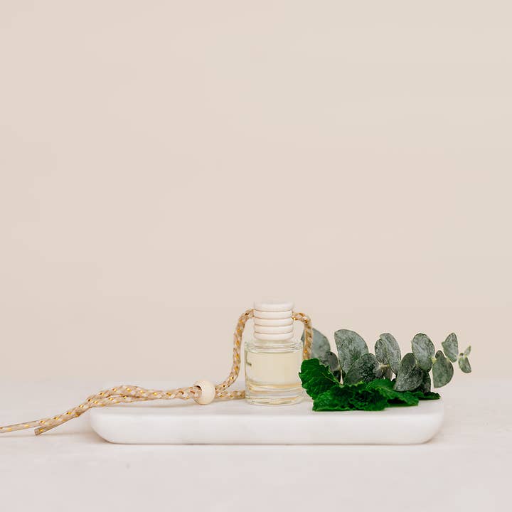 Eucalyptus Mint Car Diffuser – Clean, Fresh & Uplifting for wholesale by Ivy & Sage Collection