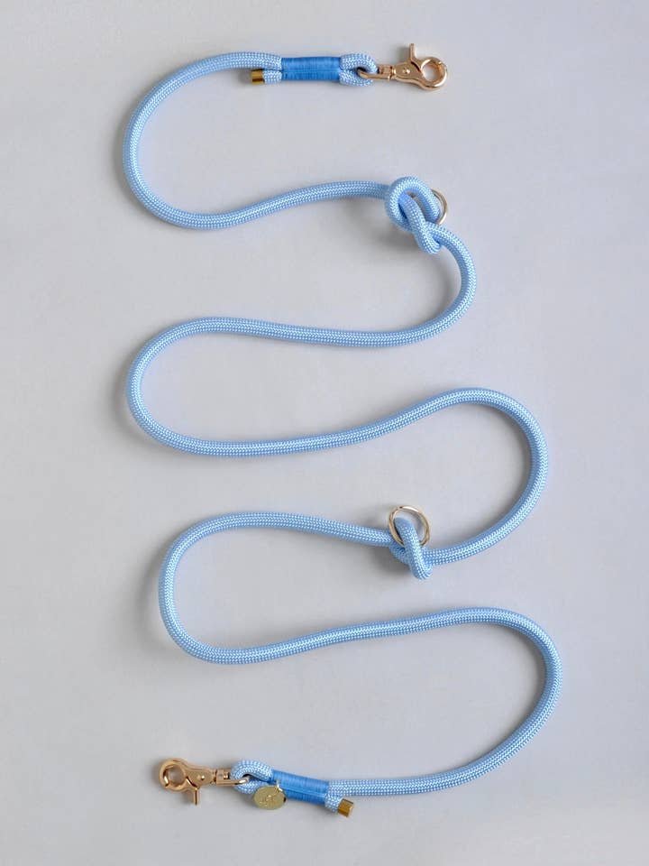 Lämna multi-positioner för hund - Blå för wholesale av Les Wafou