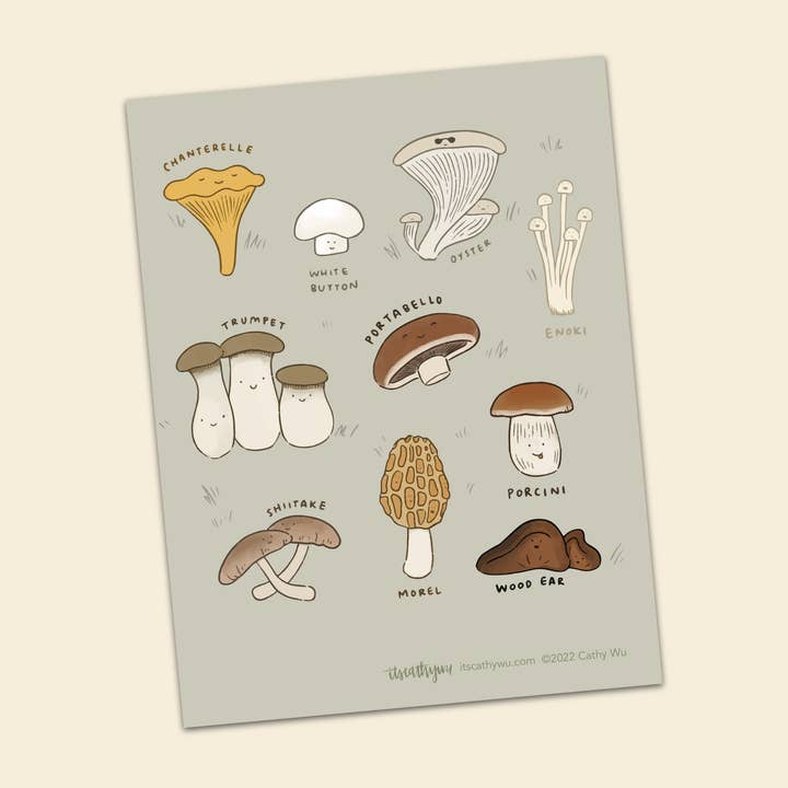 Die Pilze für den Großhandel von Itscathywu