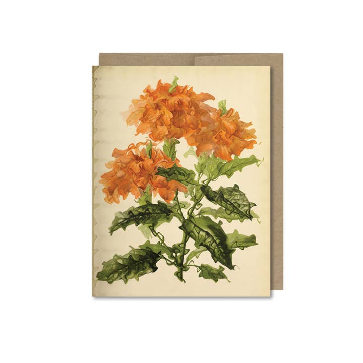 The Galek Sea - Wholesale Everyday Greeting Card - Vintage Flowers Card