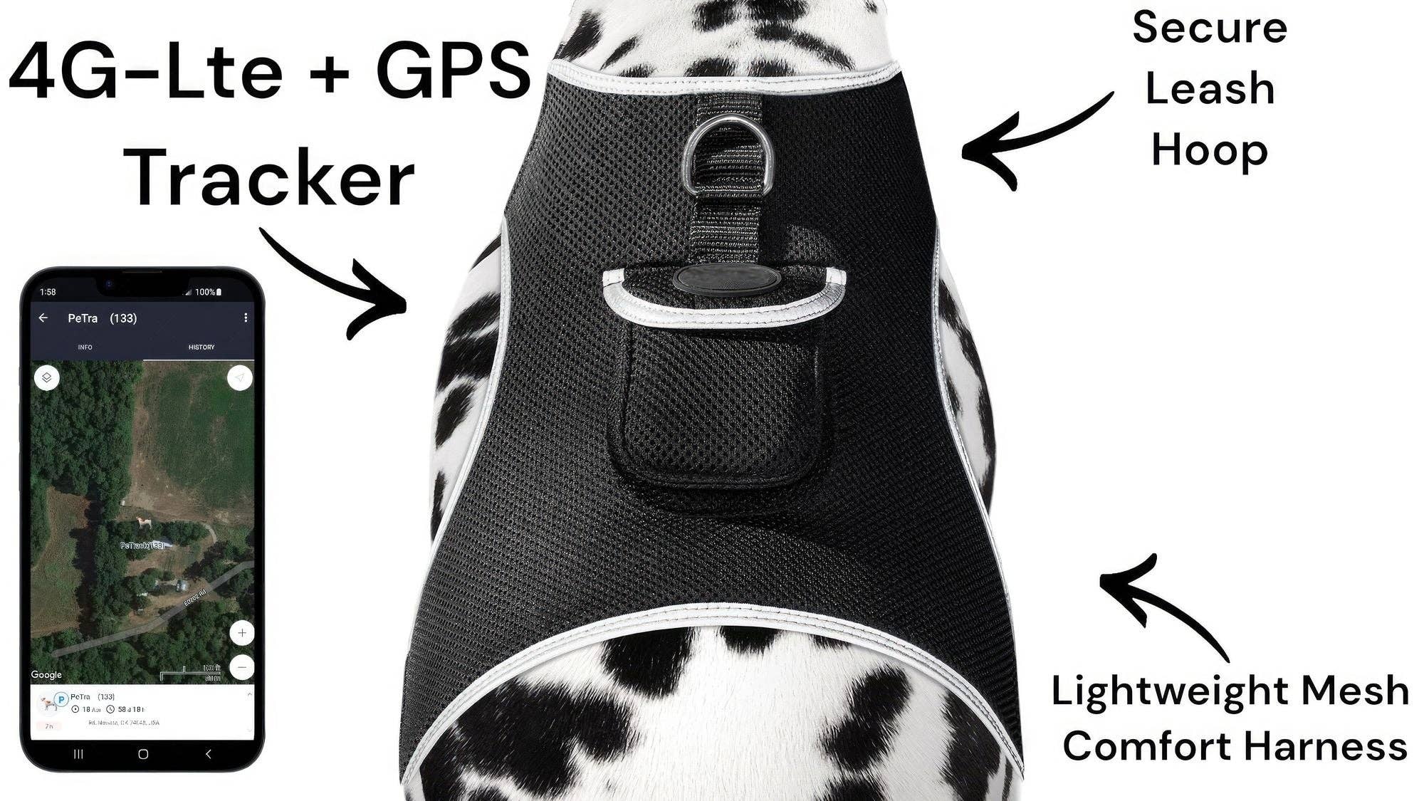 Naomi's Happy Place Shop - Venta al por mayor Collar - Gatos y perros - Mantén a tu mascota segura con el dispositivo de rastreo GPS para collar de perro + aplicación para teléfono Tamaño:M16