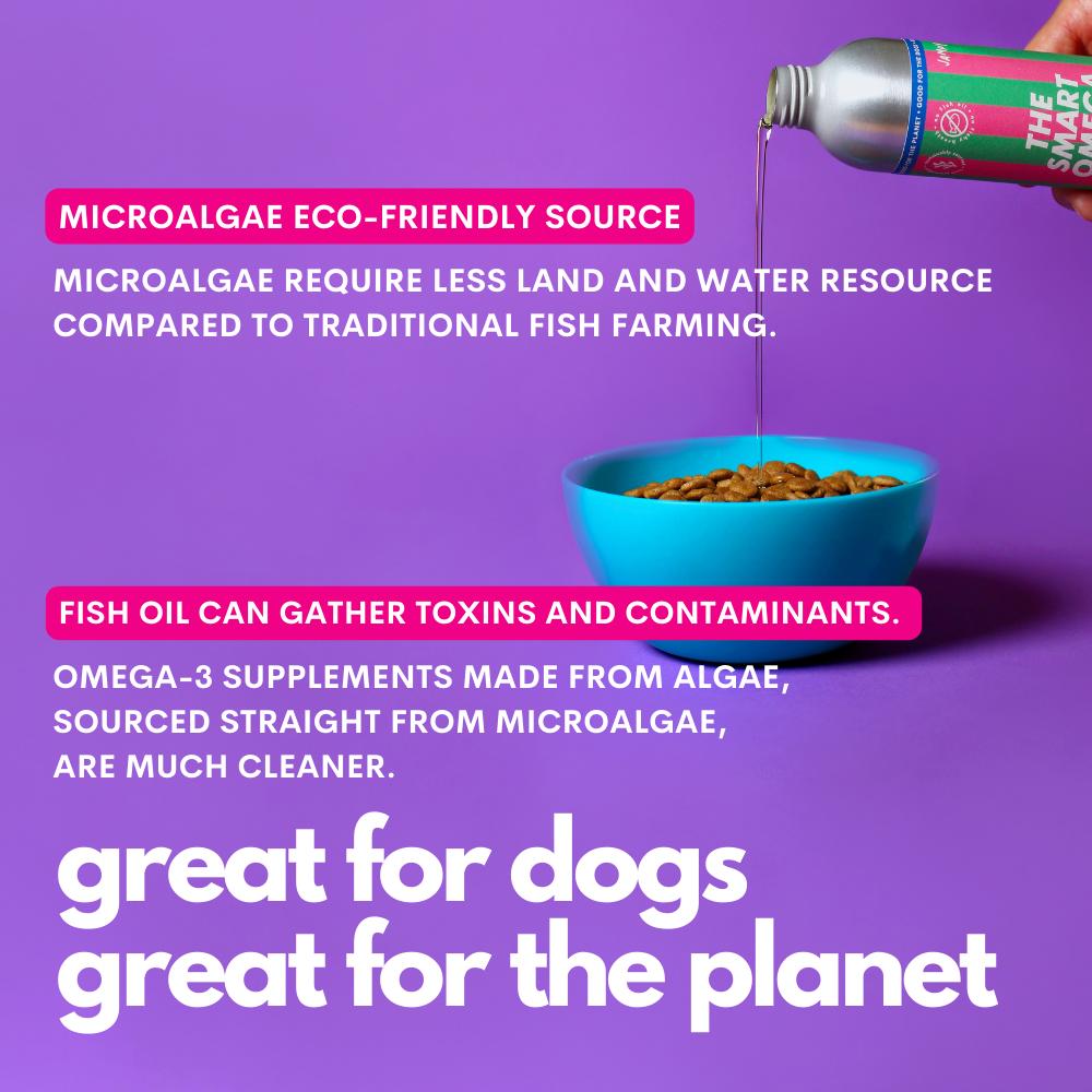 JAMPY - Wholesale Pet Supplement - Cat/Dog - The Smart Omega - Plant-based Omega3 Oil for Dogs6