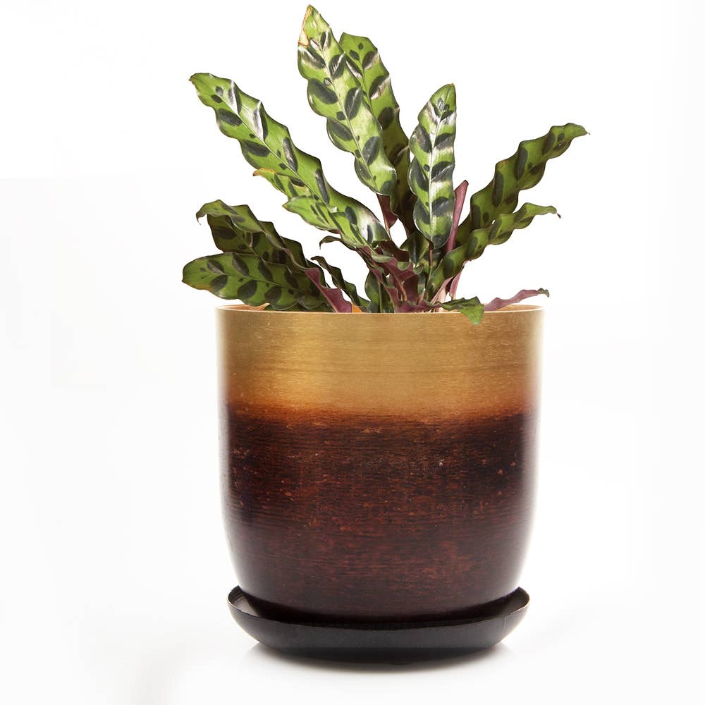 Chive - Wholesale Plant Pot - Joe Metal Flower Pots And Planters With Drainage Hole Saucer3