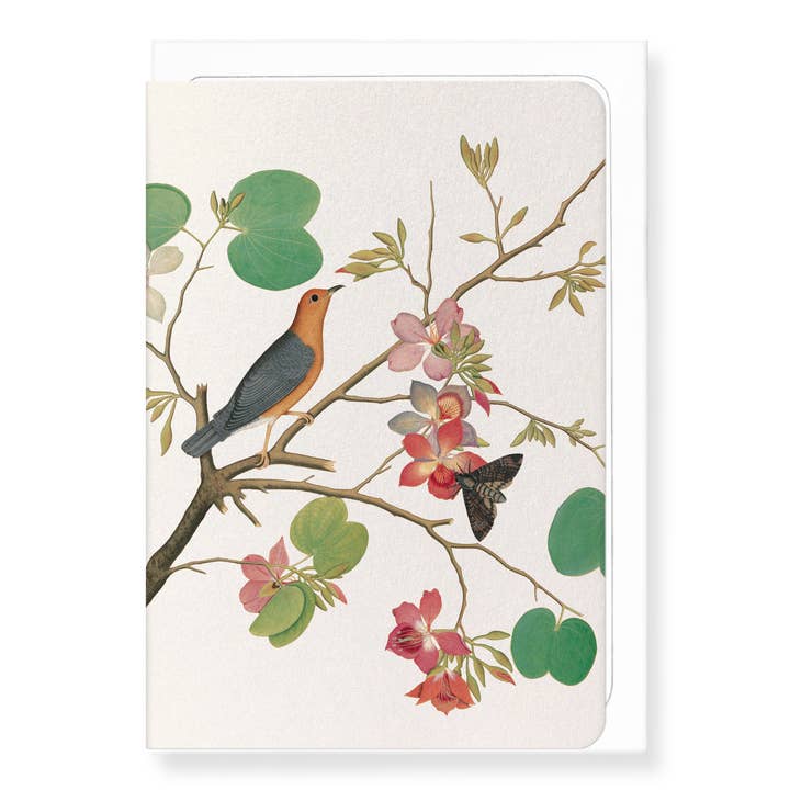 ORANGE BIRD ON ORCHID BRANCH (1778): Painting Greeting Card for wholesale by Ezen Trade