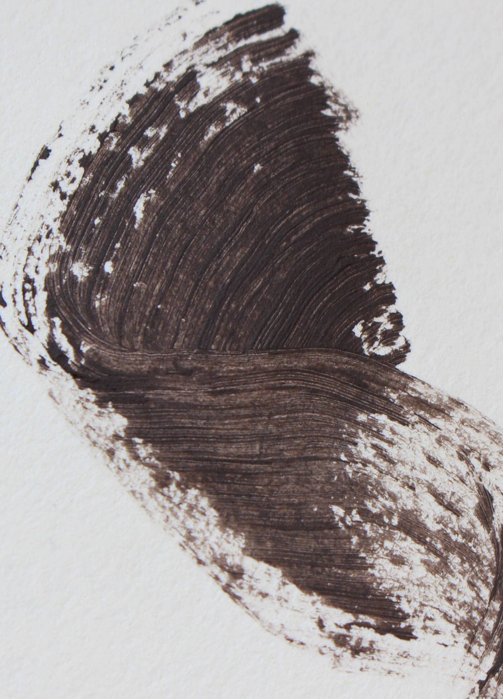 Elate Beauty - Wholesale Mascara - Essential Mascara Pack Size 127