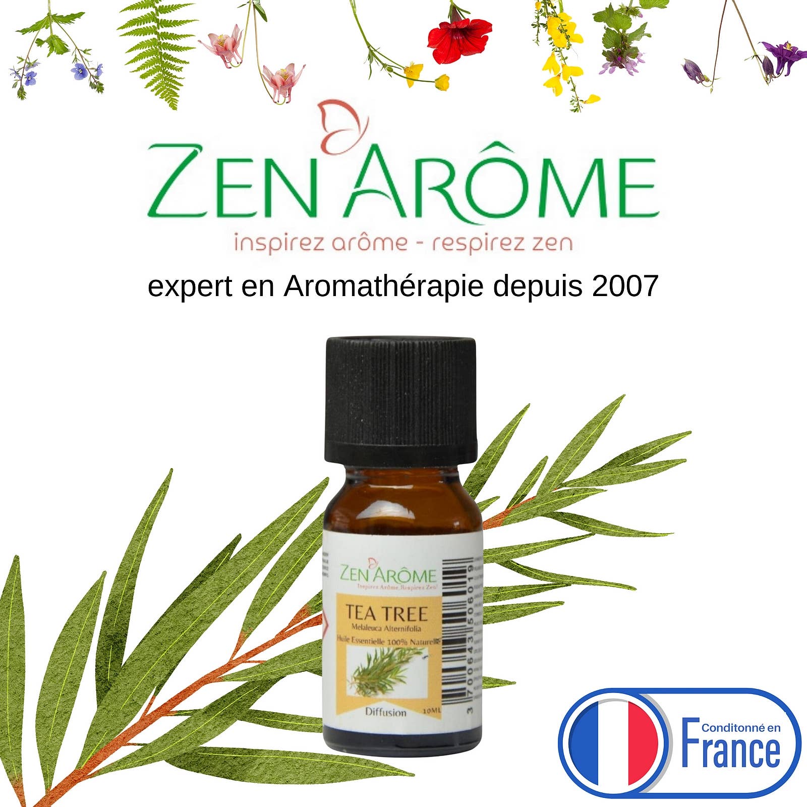 Zen'Arôme – Großhandel Ätherisches Öl – Teebaum-Ätherisches Öl – 100 % natürlich – 10 ml4