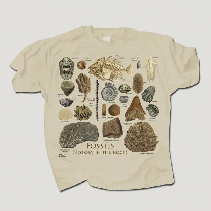 T-shirt per adulti Fossils Guide 100% cotone HW per la vendita all'ingrosso da parte di Atlas Screen Printing