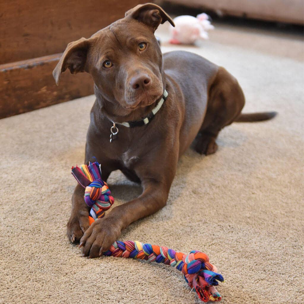 Mayamam Weavers - Wholesale Pet Rope Toy - Dog - Braided Zero Waste Dog Tug Toy1
