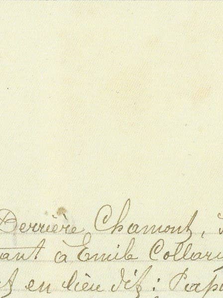 Chaton avec souris - Ornement ruban rouge pour la vente par Silhouettes and More