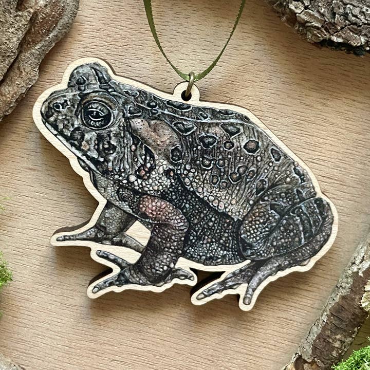 Rachael Bee Artwork - Wholesale Ornament - American Toad Ornament0