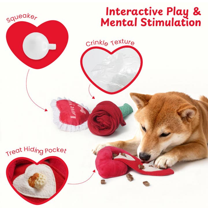 Nocciola 4 PCS Dog Valentines Toys for wholesale by Nocciola
