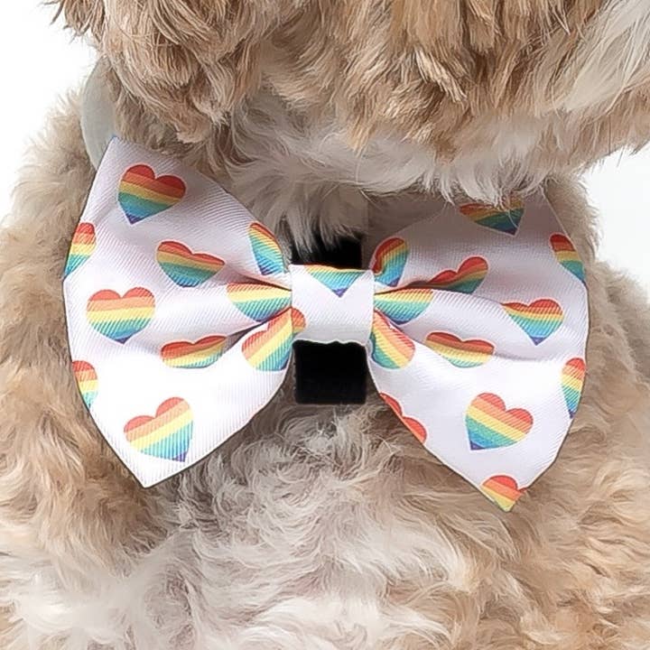 LOVE IS LOVE - NOEUD PAPILLON POUR CHIEN pour la vente par DAPPER DEXTER