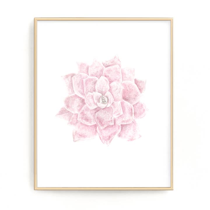 Rosa saftiga tryck för wholesale av Emilie Taylor