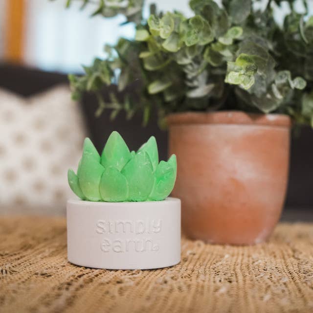 Simply Earth - Wholesale Electronic Diffuser - Succulent Essential Oil Diffuser