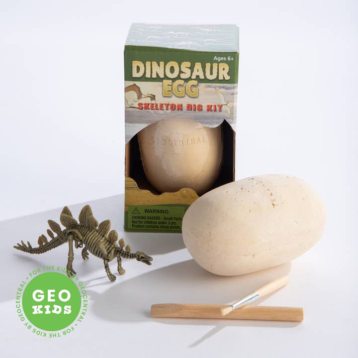 Dig Kit: Dinosaur Egg with Skeleton for wholesale by RCS Gifts