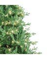 Kurt S. Adler, Inc. - Wholesale Artificial Christmas Tree - 7'PRELIT CLEAR INCANDESCENT JCKSN PINE TREE3