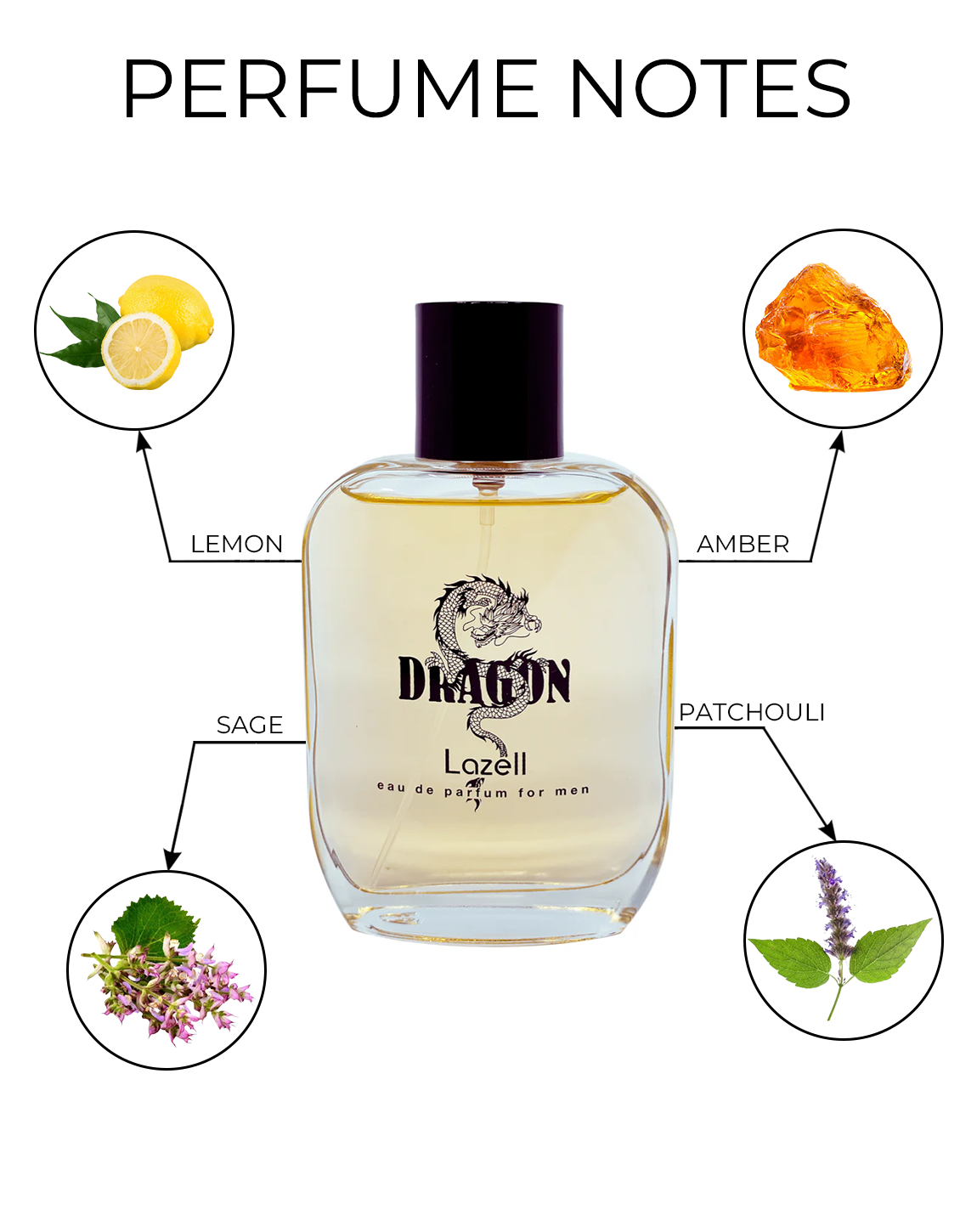 Daspar - Vendita all'ingrosso Profumi/Eau de toilette - LAZELL DRAGON MEN EDT 3.4 OZ NUOVO profumo1