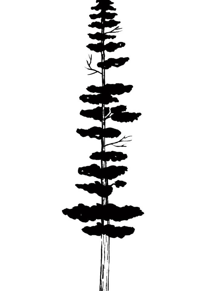 Pin tordu - Silhouette d'arbre aquarelle pour la vente par Erika Donaghy Creative Studio