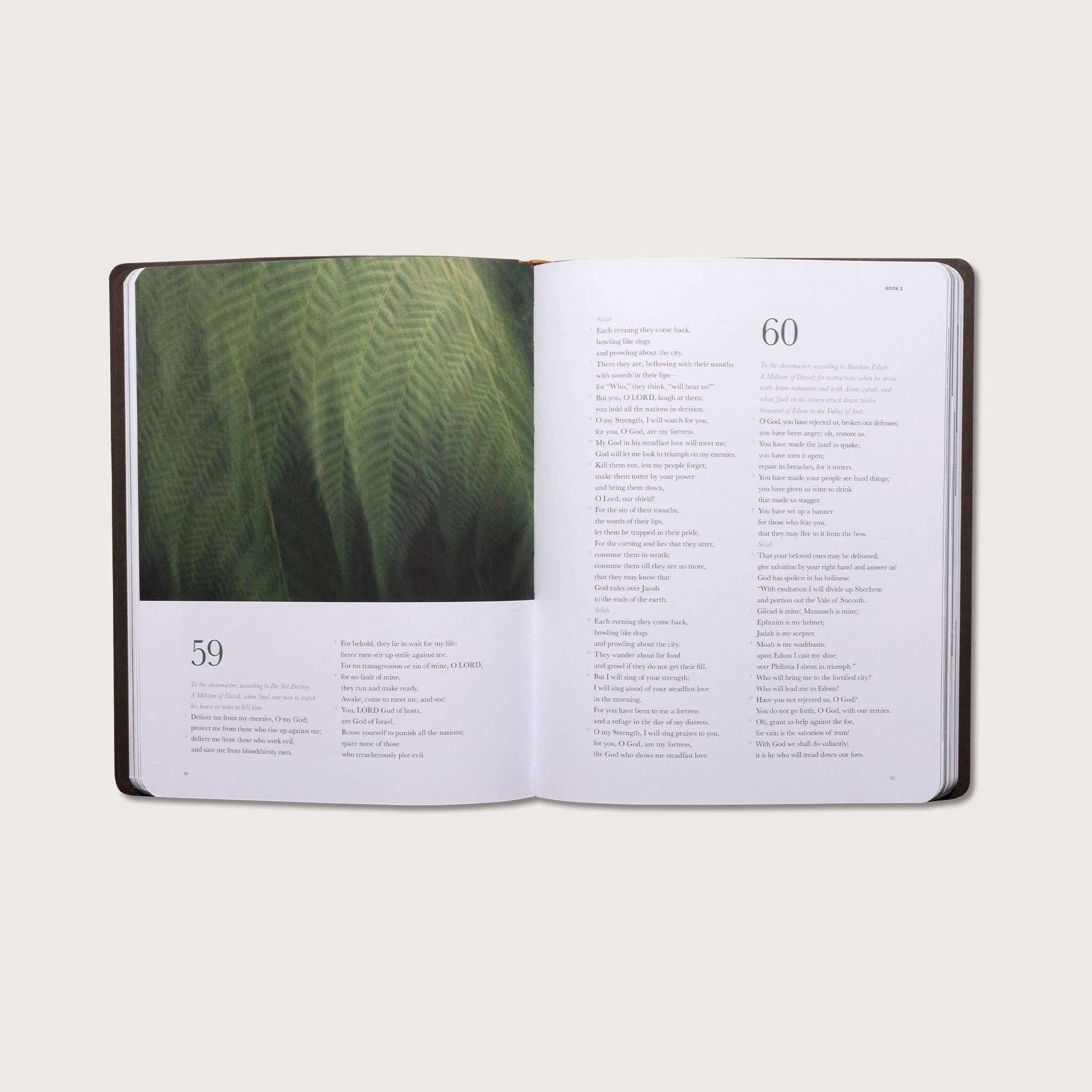 Alabaster Co - Vente Livre sur la religion - Le livre des psaumes1