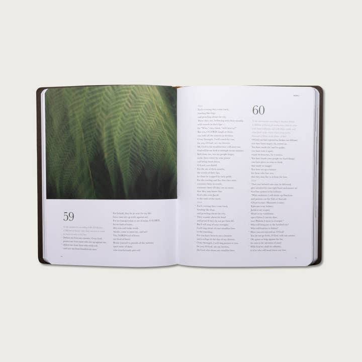 Alabaster Co - Vente Livre sur la religion - Le livre des psaumes1