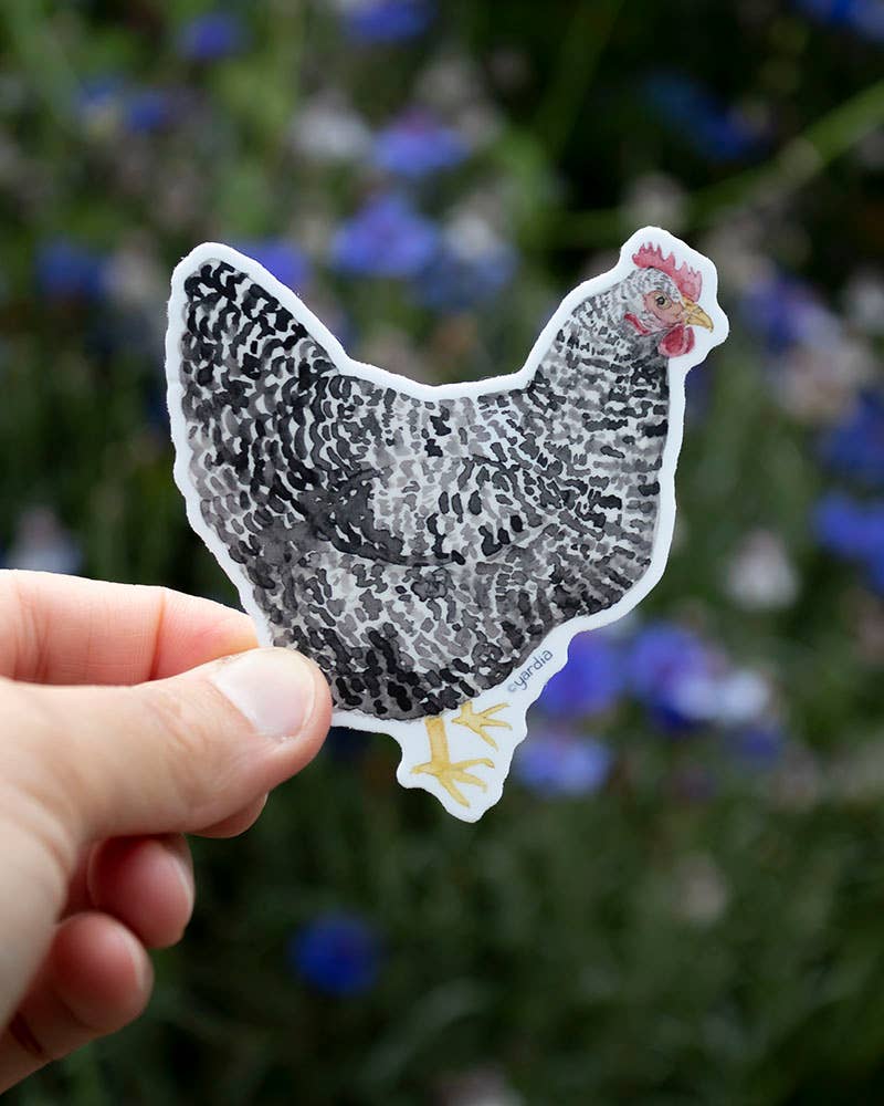 Yardia - Wholesale Sticker - Barred Rock Chicken Vinyl Sticker1