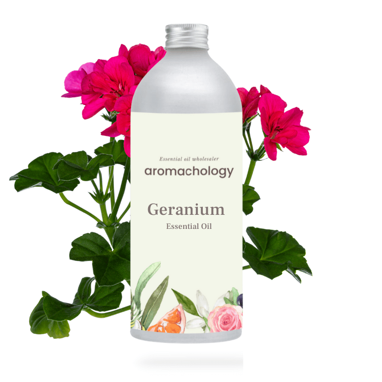 Aromachology - Wholesale Essential oil - Geranium Essential Oil2