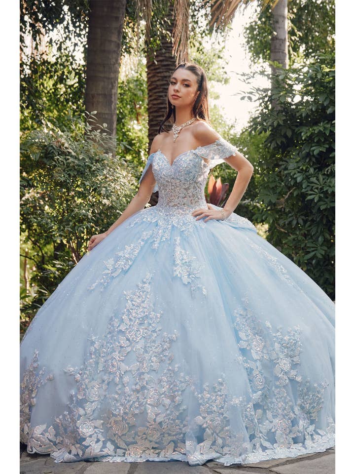 Off The Shoulder Embroidery And Lace Appliques With Back Bow and other Purchase Wholesale quinceañera dresses. Free Returns & Net 60 Terms on Faire trending on Faire.