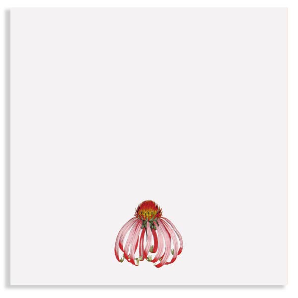 Coneflower Notepad 10x10cm for wholesale by 30x40