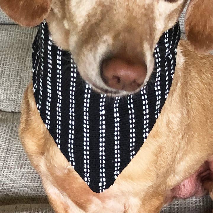 Walking Palm – wholesale Pet bandana – Dog – Dog Bandana Small - Pinstripe Woven0