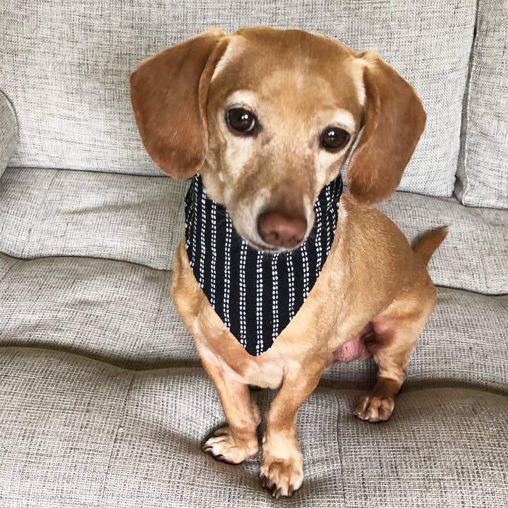 Walking Palm - Vente Bandana – chien - Bandana pour chien Small - Tissé à rayures
