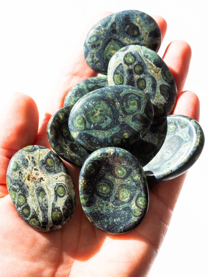 Kambaba Crocodile Jasper Worry Stones for wholesale by Apothecary Co.