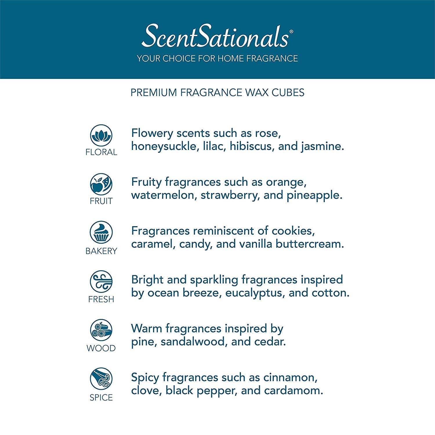 ScentSationals - Wholesale Wax Warmer - Cottage Farmhouse Edison Fragrance and Wax Warmer4