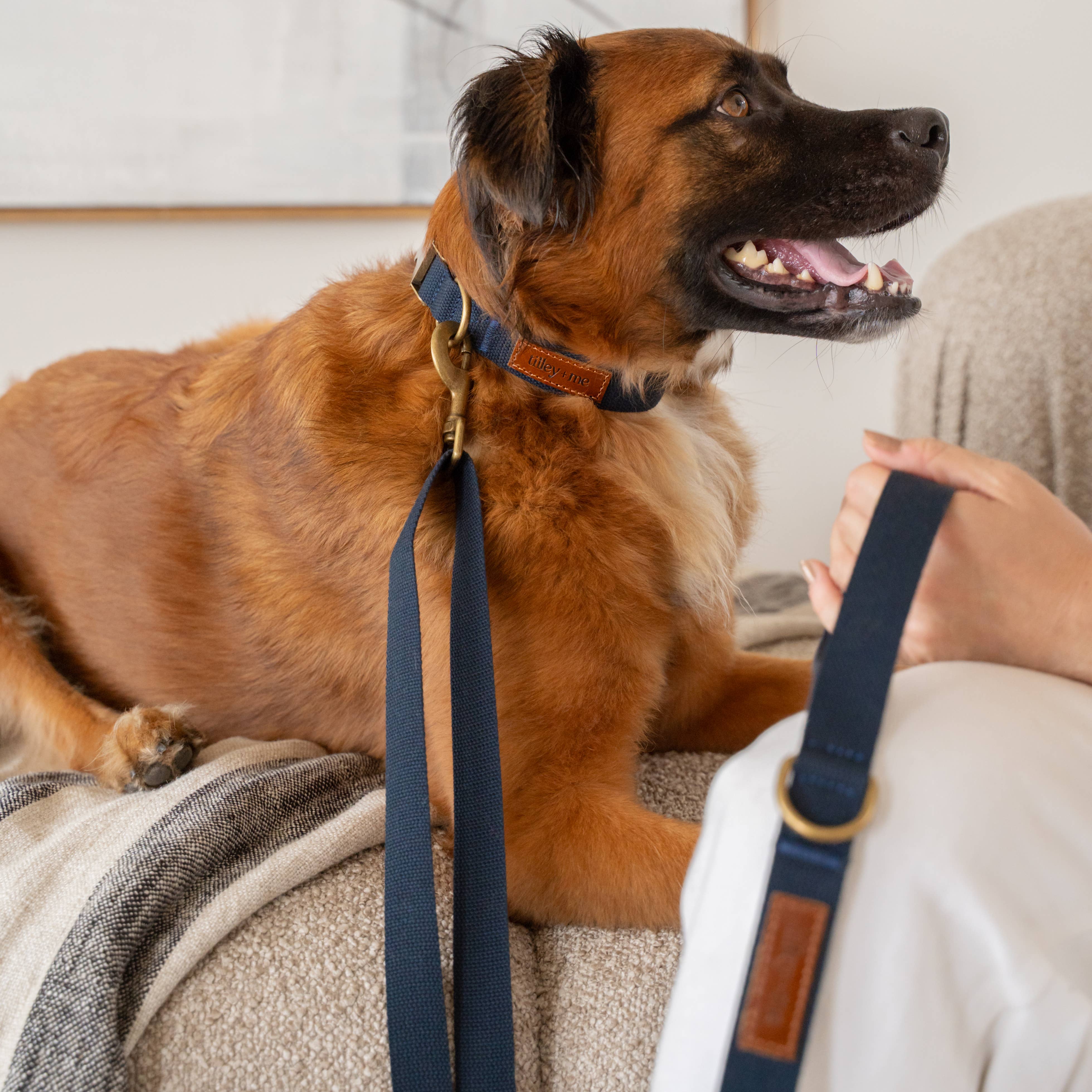 Tilley + Me - Wholesale Pet Leash - Dog - Hemp Cotton Dog Leash - Adjustable & Lightweight27