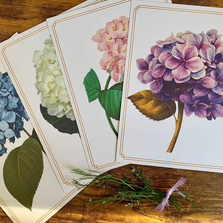 Magnifique Hearts - Wholesale Art print - Set Of 4 Art Prints Of Hydrangea Flowers, Floral Art Images,