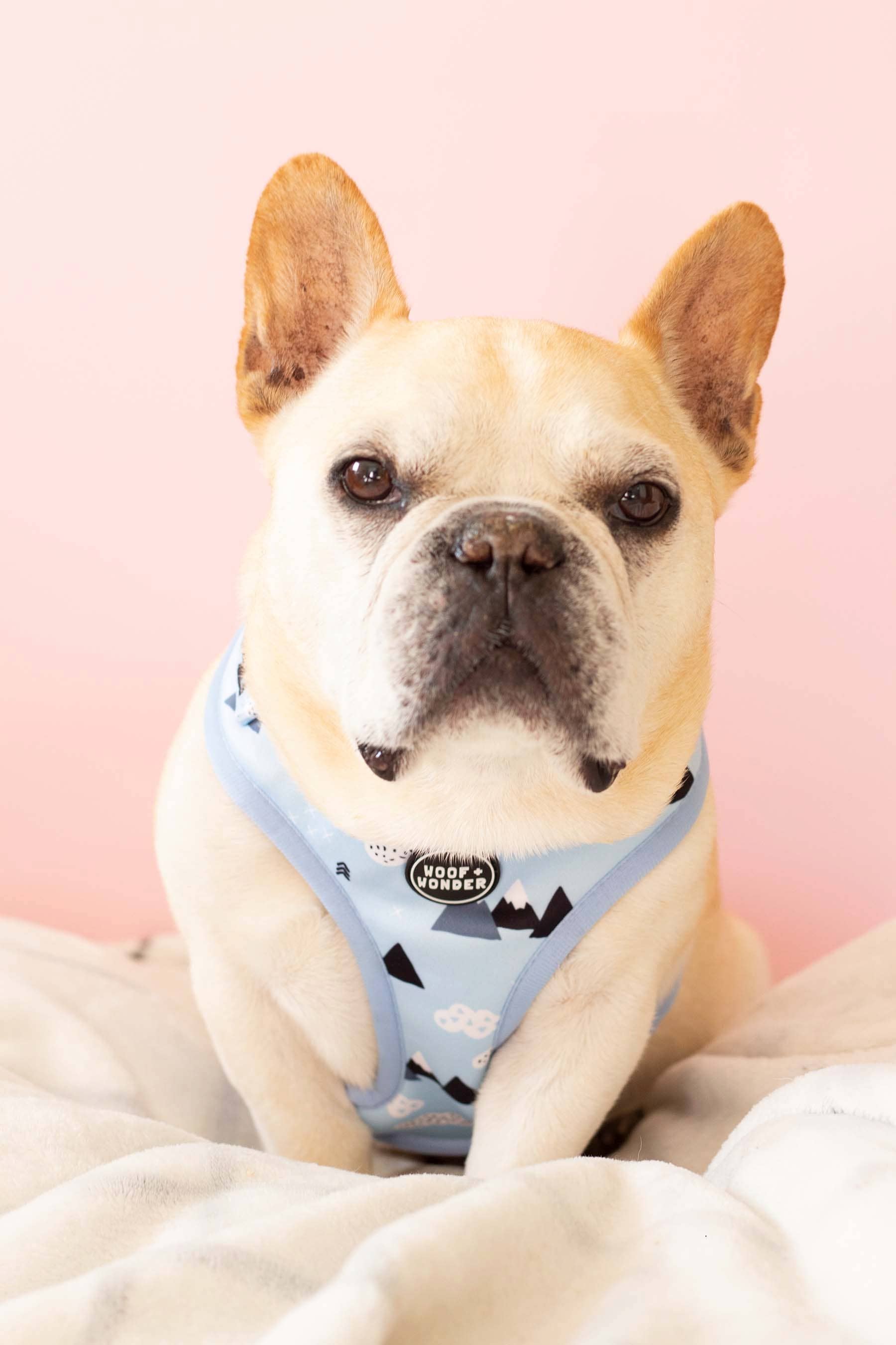 Woof & Wonder - Wholesale Pet Harness - Dog - Sky Blue Hiking Mountain and Clouds Adjustable Dog Harness1