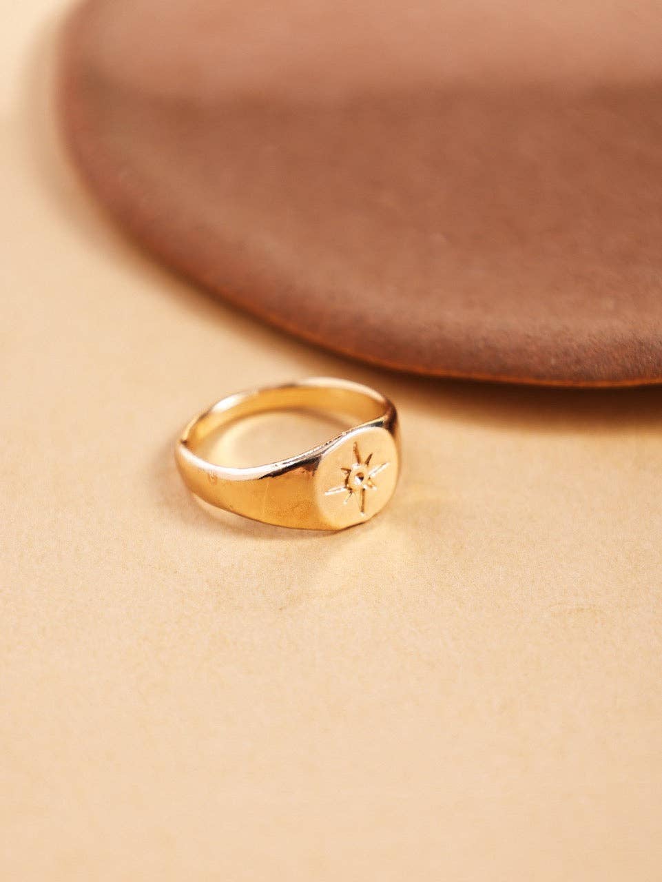 Revelari – Engroshandel Signetring – Nordstjerne Signet Guldring0