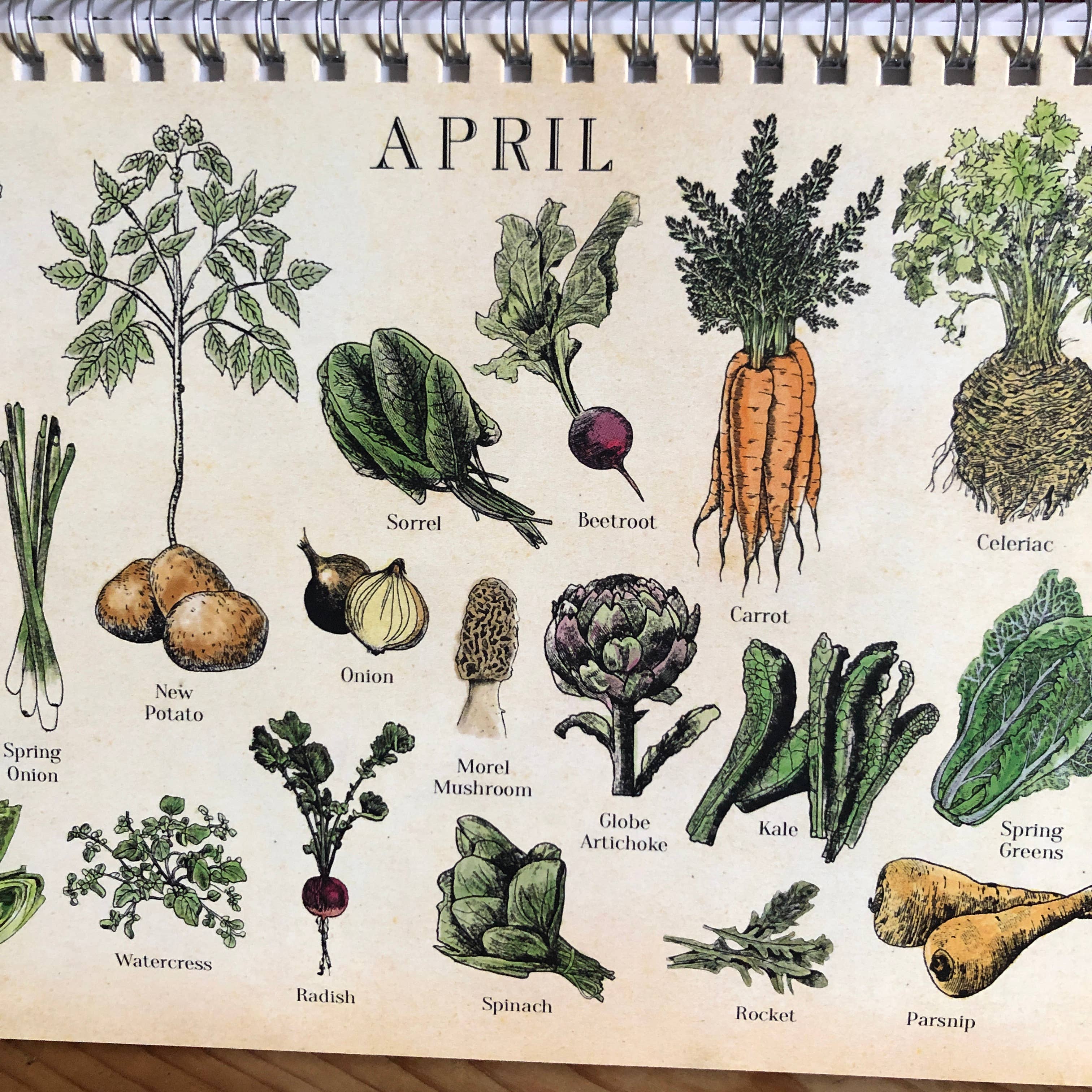 Hannah Turpin Designs - Vendita all'ingrosso Calendario - Calendario stagionale, calendario mensile da tavolo per frutta e verdura (UK F6