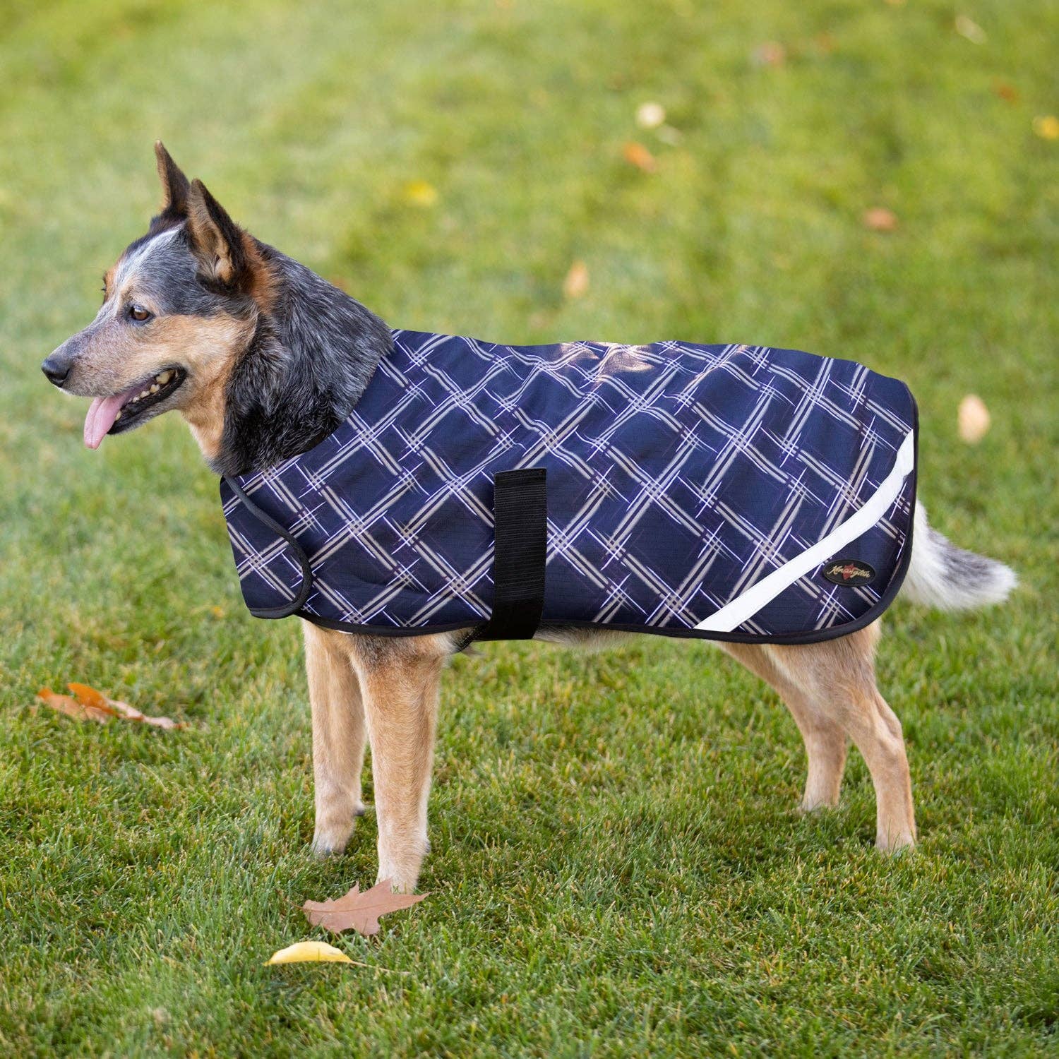 Kensington - Wholesale Pet Coat - Dog - 1200Denier "180G" Medium Weight Waterproof & Breathable Dog Coat1
