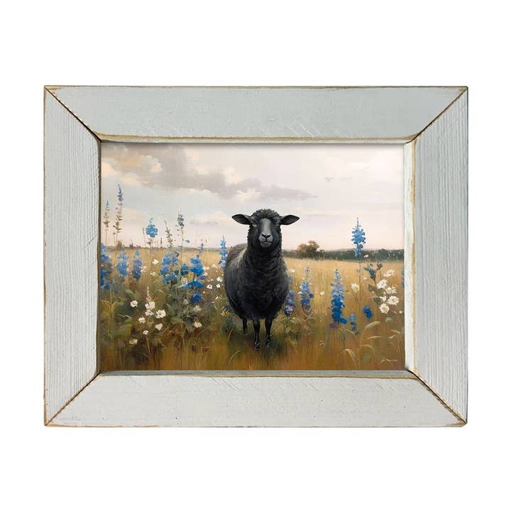 JanMichaels Art & Home - Wholesale Wall Sign - JO280 Black Sheep in Bloom2