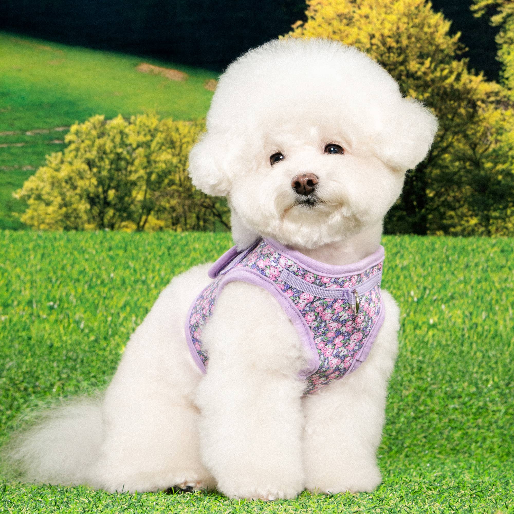 Puppia International Inc. - Wholesale Pet Harness - Dog - KEALOHA STEP IN DOG HARNESS FLORAL6