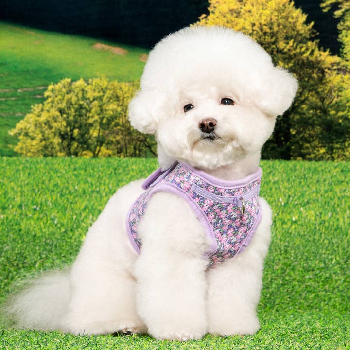 Puppia International Inc. - Wholesale Pet Harness - Dog - KEALOHA STEP IN DOG HARNESS FLORAL6