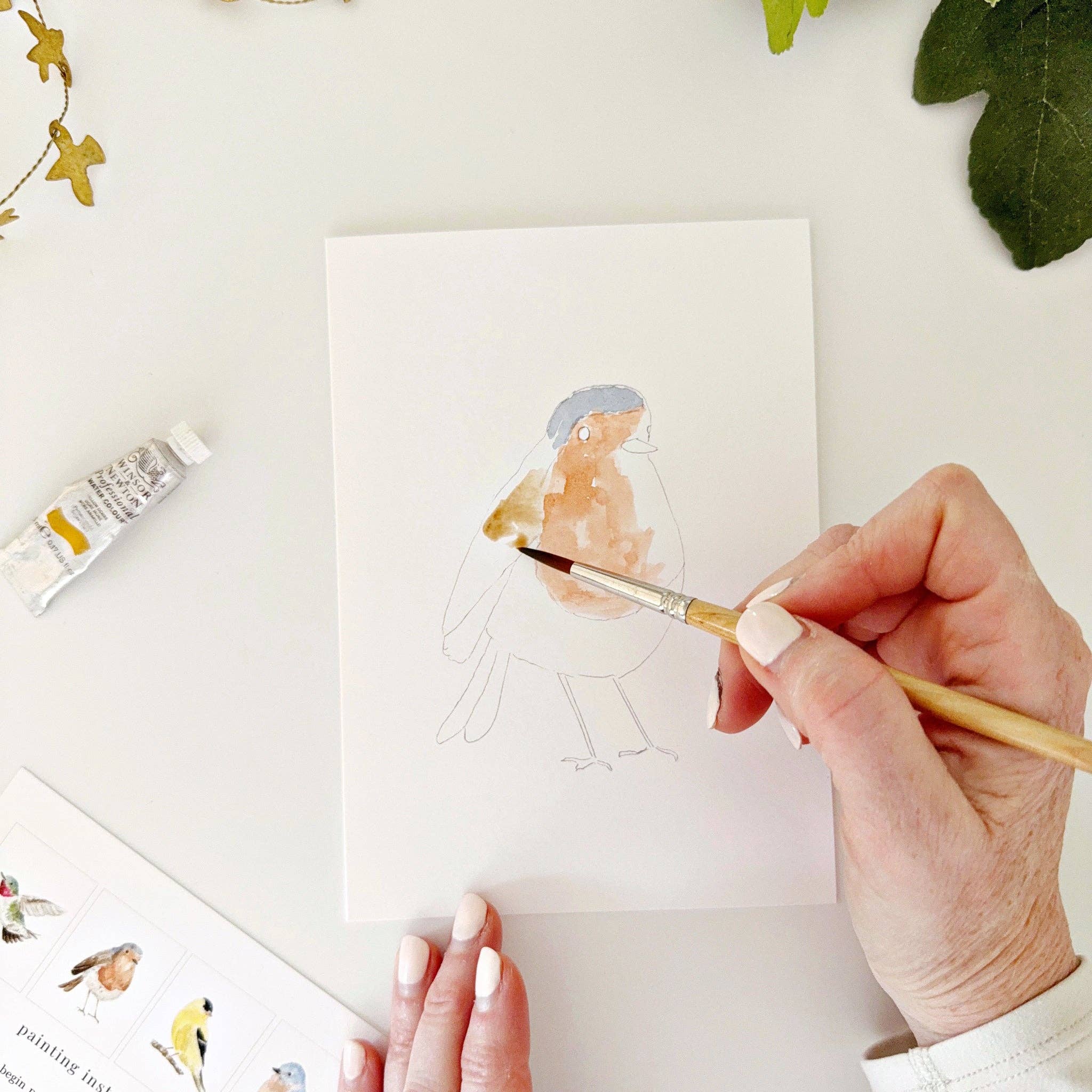 emily lex studio – Conjunto de notas por atacado – cartões de notas pintáveis de pássaros do quintal9